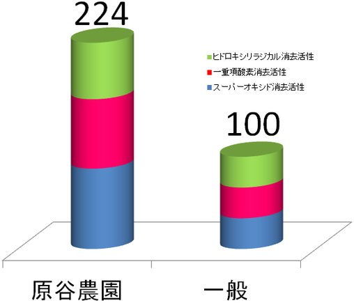 原谷農園のにんじんと他のにんじんの抗酸化成分を比較