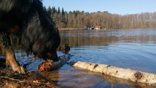 Noch geht's nur mit den Füßen ins Wasser