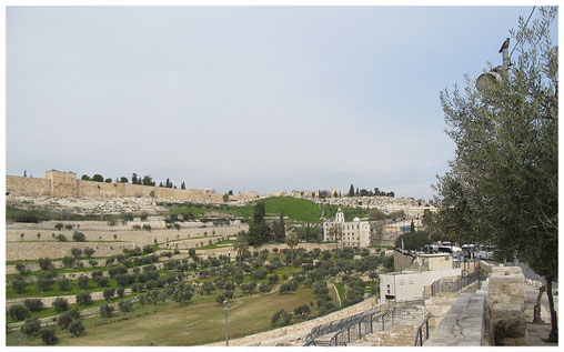 View of Kidron Valley and St. Steven Monastery