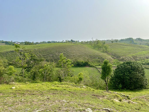 South Sumba land for sale