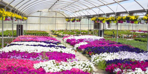 curso de vivero