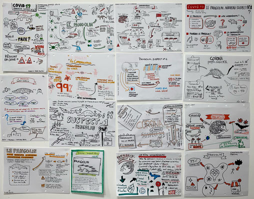 formation pensée visuelle, sketchnoting, sketchnotes