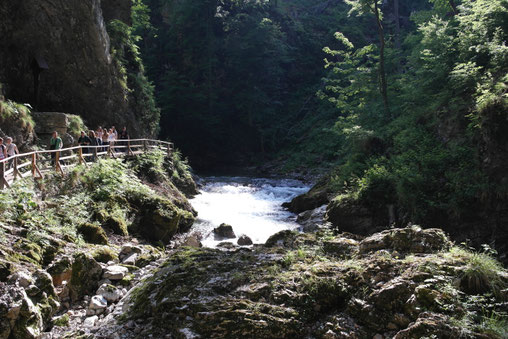 gole del Vintgar, percorso in canyon con acqua 