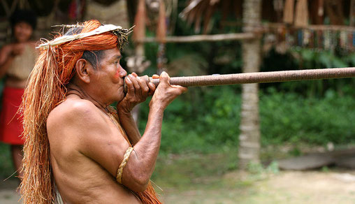 JialiangGao www.peace-on-earth.org — Travail personnel  A Yagua (Yahua) tribeman demonstrating the use of blowgun (blow dart), at one of the Amazonian islands near Iquitos, Peru.