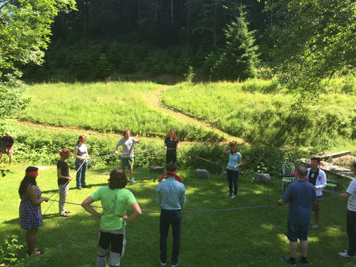 Teilnehmende bei einer Outdoor-Teamaufgabe im Wald – Kooperation, Kommunikation und Gruppendynamik im Natursetting mit AufBäumen Teamtraining.