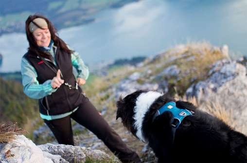 Bietet Sicherheit am Berg und macht Spaß: Hund-Erziehung.