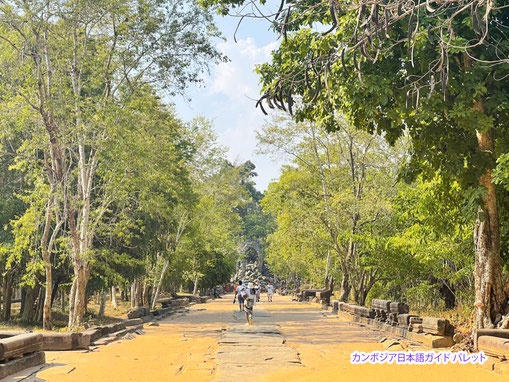 ベンメリア遺跡の参道
