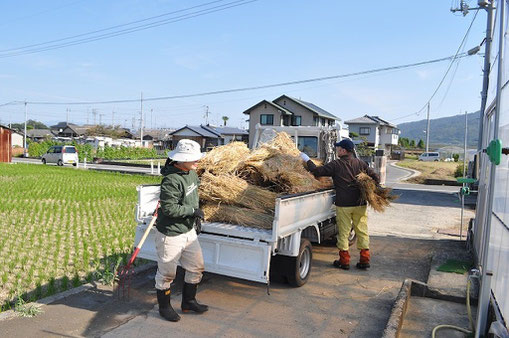 稲わらの積み込み