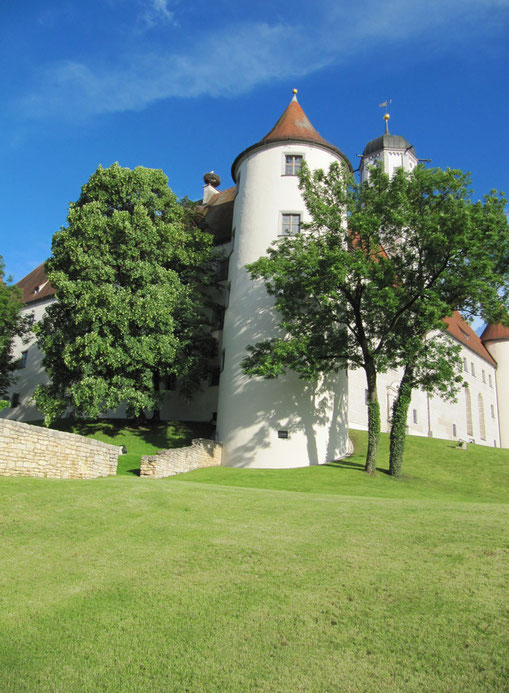 Höchstädt Castle,  June 2016   {Schloss Höchstädt im Juni 2016}