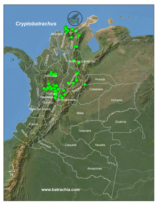 Distribución en Colombia