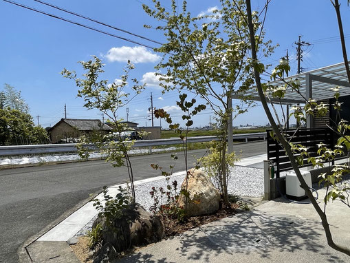 豊川 豊橋 庭 外構 おしゃれな ﾃﾞｻﾞｲﾝ 移植　ﾔﾏﾎﾞｳｼ ｲﾛﾊﾓﾐｼﾞ