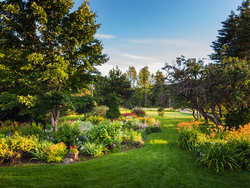 Gartenpflege Franke - Ihr Landschaftsgaertner für Gartenpflege und Baumfaellung in Nidda, Hungen, Lich, Buedingen, Bad Vilbel, Butzbach, Altenstadt, Bad Vilbel und Wölfersheim