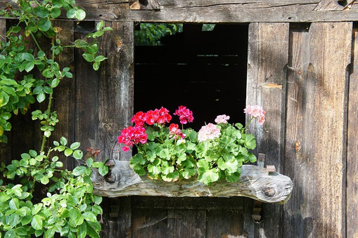 ein Fenster in einem Holzhaus mit Blumen vor dem Fenster