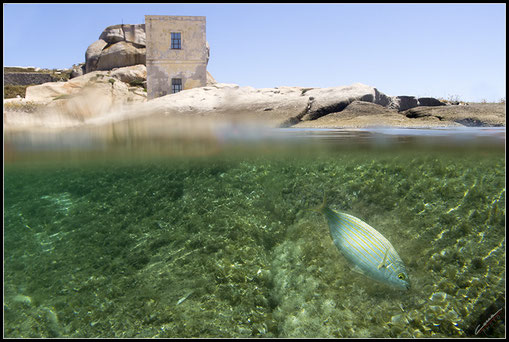 Arcipelago di La Maddalena 2019
