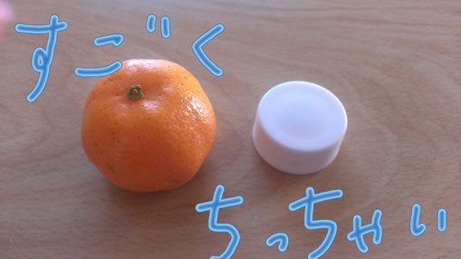 ペットボトルのキャップ置いてみたよ