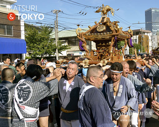 牛嶋神社大祭, 向島五丁目東町会, 大神輿渡御