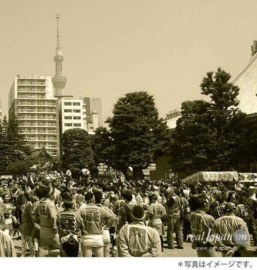 三社祭, 町内神輿連合渡御の集合場所, 浅草寺裏, 観音堂裏広場