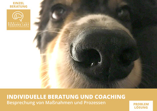 DOGTALKING SUSANNE LAST TIERPSYCHOLOGIE, Coaching oder Beratung buchen