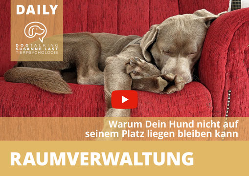 DOGTALKING SUSANNE LAST TIERPSYCHOLOGIE - YouTube-Kanal Podcast, Daily