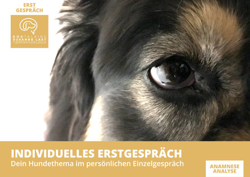 DOGTALKING Susanne Last Tierpsychologie, Erstgespräch