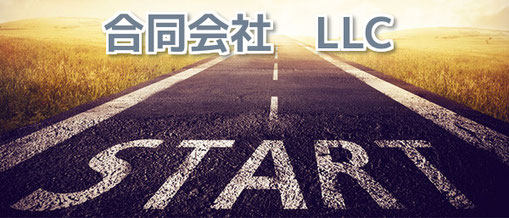 株式会社ではなく、合同会社LLCとして法人を設立
