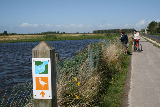 location-trottinette électrique-baie de somme-scooters-nature-pistes cyclables-circuits-phoques-famille-amis-séminaire-insolite-nature-vélo assistance électrique-electric bicycles-scooters-elektrofahrräd-elektroroller-elektrische fiets-elektrische step