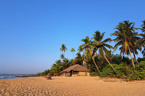Reisetipps Sri Lanka