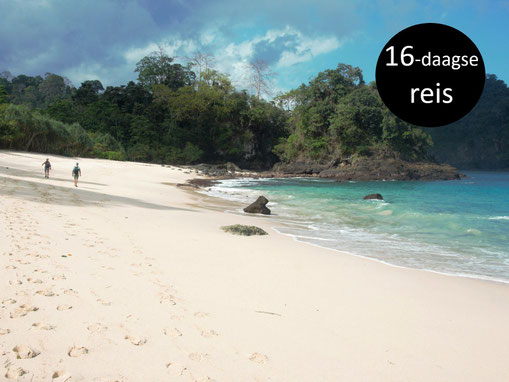 Teluk Hijau strand met turkuoise blauwe water op oost Java