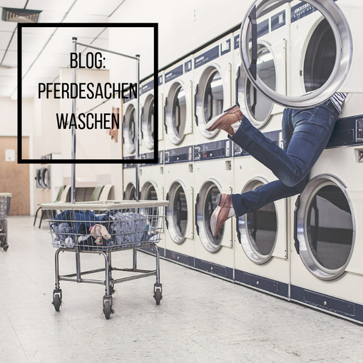 Mädchen sucht in der Waschmaschine ihre Pferdesachen!