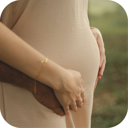 Nahaufnahme des Bauches von einer Schwangeren. Sie trägt ein taubefarbenes Baumwollkleid und zu sehen sind nur der Bauch und die Hände von ihr und ihrem Partner, wie sie gemeinsam den Bauch recht und links halten. Seitlich, vor grünem Hintergrund.