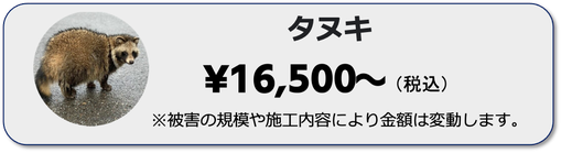 兵庫県,大阪府,京都府,奈良県,滋賀県のたぬきの駆除ならイッキグループ,