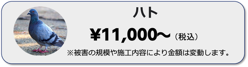 兵庫県,大阪府,京都府,奈良県,滋賀県の鳩の駆除ならイッキグループ,