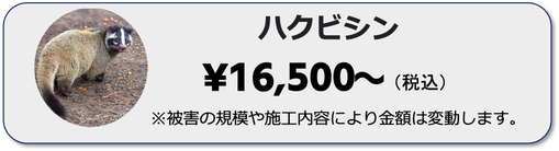 ハクビシンの駆除お悩みはいっきグループ