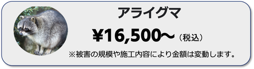 兵庫県,大阪府,京都府,奈良県,滋賀県のアライグマの駆除ならイッキグループ,
