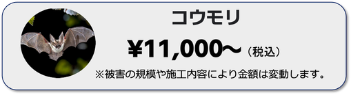 兵庫県,大阪府,京都府,奈良県,滋賀県の害獣・害虫駆除ならイッキグループ,コウモリの駆除