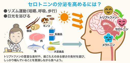 幸せホルモンのセロトニンの分泌を高めるために必要なこと