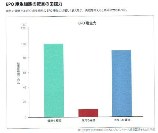 「人体　神秘の巨大ネットワーク」より