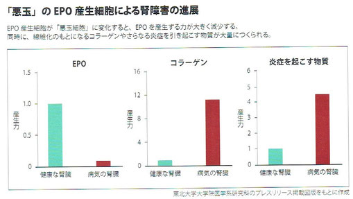 「人体　神秘の巨大ネットワーク」より