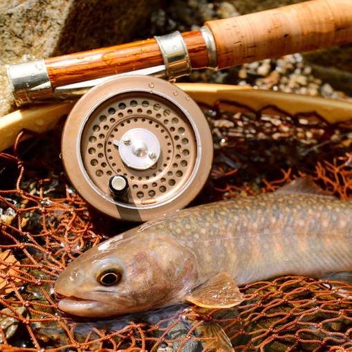 セージ500シリーズのリペア - Steelhead Journal セージ500シリーズのリペア - Steelhead Journal