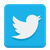 Icon- image-to-Twitter