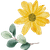 ピアノ教室ユーカリの木 アイテム 花