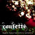 Confetti - Ruxpin featuring chihiro butterfly