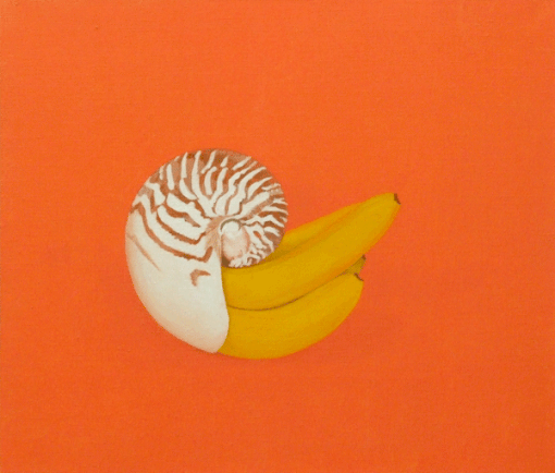 オウムバナナ, 2009, 380×455mm, Oil on canvas