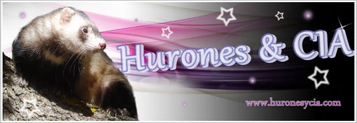 http://www.huronesycia.com