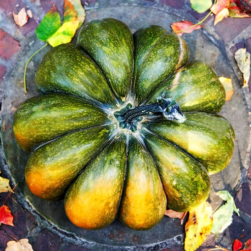 Colorful Fairytale Pumpkin