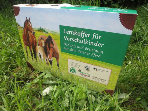 Pferde und Ponys in Kita, Kindergarten in Köln Bergisch Gladbach.