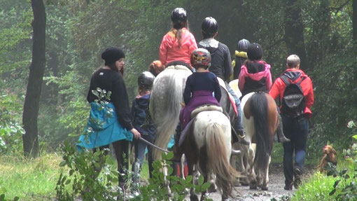 Ponyreiten in der Nachbarschaft von Overath