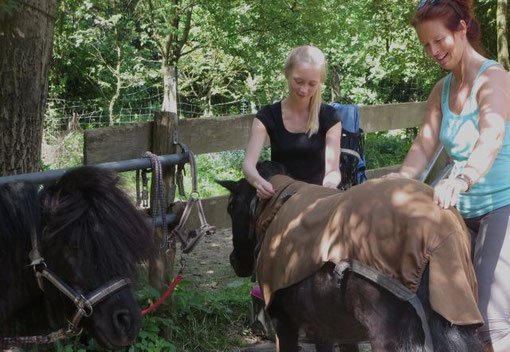 Begeisterte Praktikanten empfehlen das Praktikum in Bergisch Gladbach am Ponyhof Sonnenschein