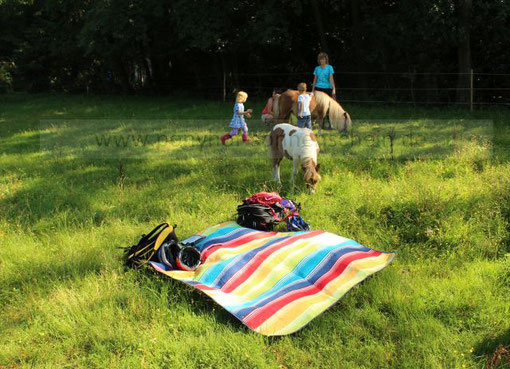 Wo fühlen sich Kinder und Ponys sehr wohl? In der Natur als natürliche Umgebung!