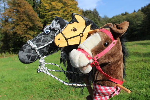 Kindergeburtstage ohne Pony mit Steckenpferd Hobby Horsing